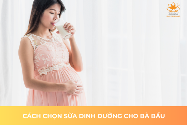 Cách Chọn Sữa Dinh Dưỡng Tốt Cho Bà Bầu 